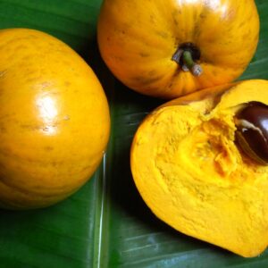 Canistel / Egg Fruit Seedlings